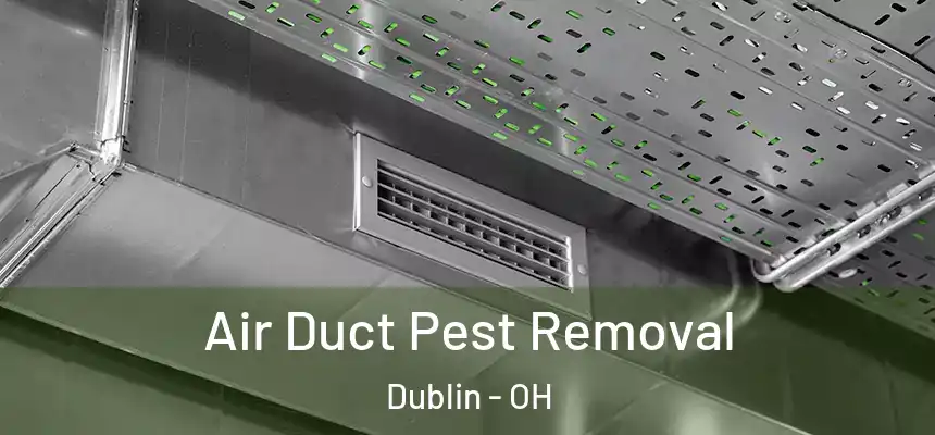  Air Duct Pest Removal Dublin - OH