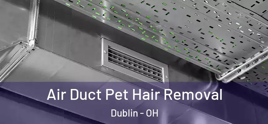  Air Duct Pet Hair Removal Dublin - OH