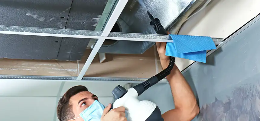 Our Air Duct Rodent Removal Services in Dublin, OH