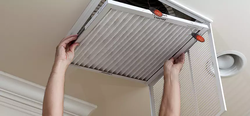 Our Insect Removal from Air Ducts Services in Dublin, OH