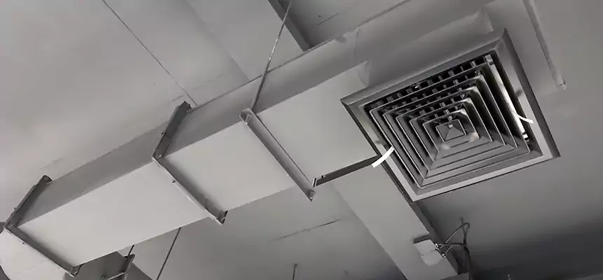 Our Pest Removal From Ducts Services in Dublin, OH