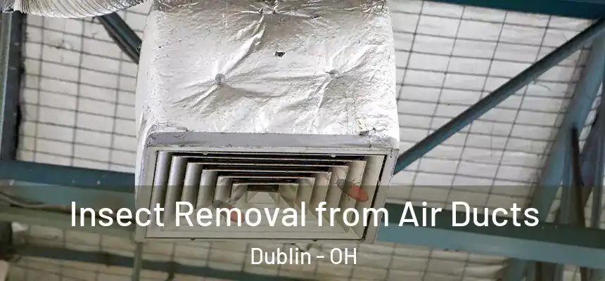  Insect Removal from Air Ducts Dublin - OH