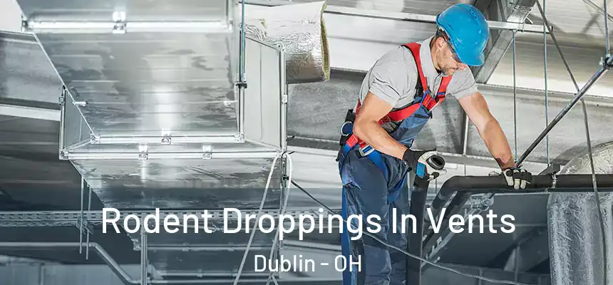  Rodent Droppings In Vents Dublin - OH