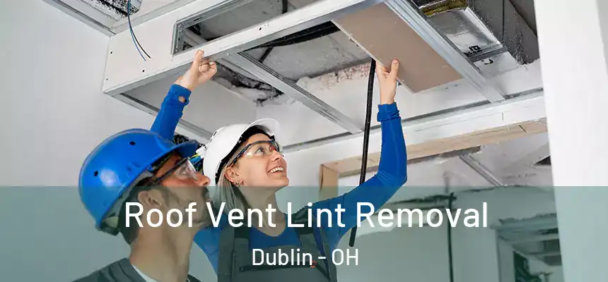  Roof Vent Lint Removal Dublin - OH