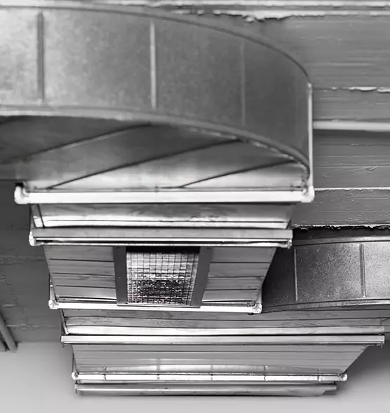 Professional Air Duct Pest Removal in Dublin, OH